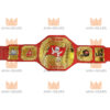 Tampa Bay Buccaneers Nfl Champion belt