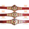 Super Bowl San Francisco 49ers Championship Belt