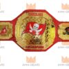 Tampa Bay Buccaneers Nfl Champion belt