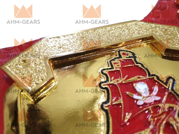 Tampa Bay Buccaneers Nfl Champion belt