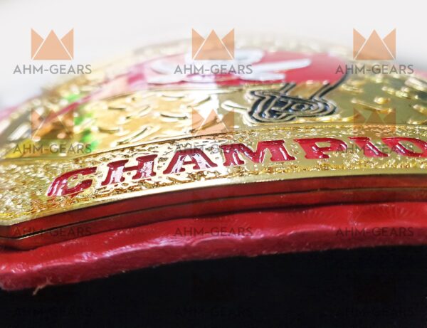 Tampa Bay Buccaneers Nfl Champion belt