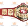 Super Bowl San Francisco 49ers Championship Belt